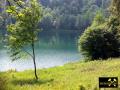 Gemündener Maar bei Daun in der Vulkaneifel, Rheinland-Pfalz, (D) (7) 01. Juni 2014.JPG